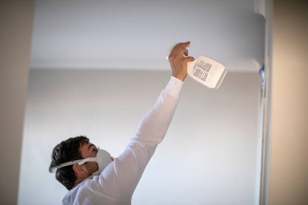 Best Black Mold Removal  in Comstock Northwest, MI